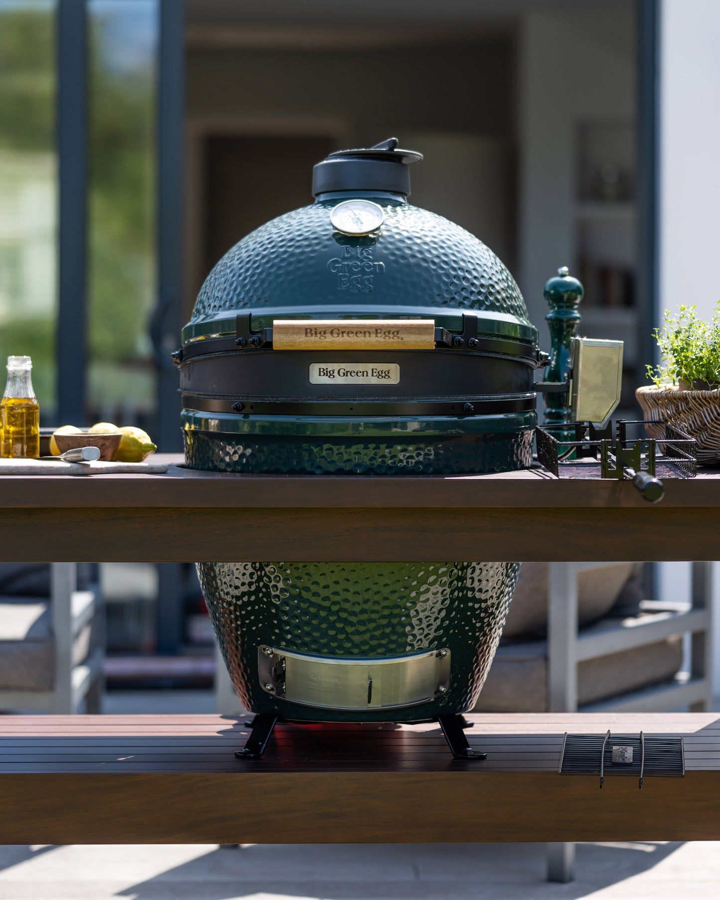 Large Big Green Egg